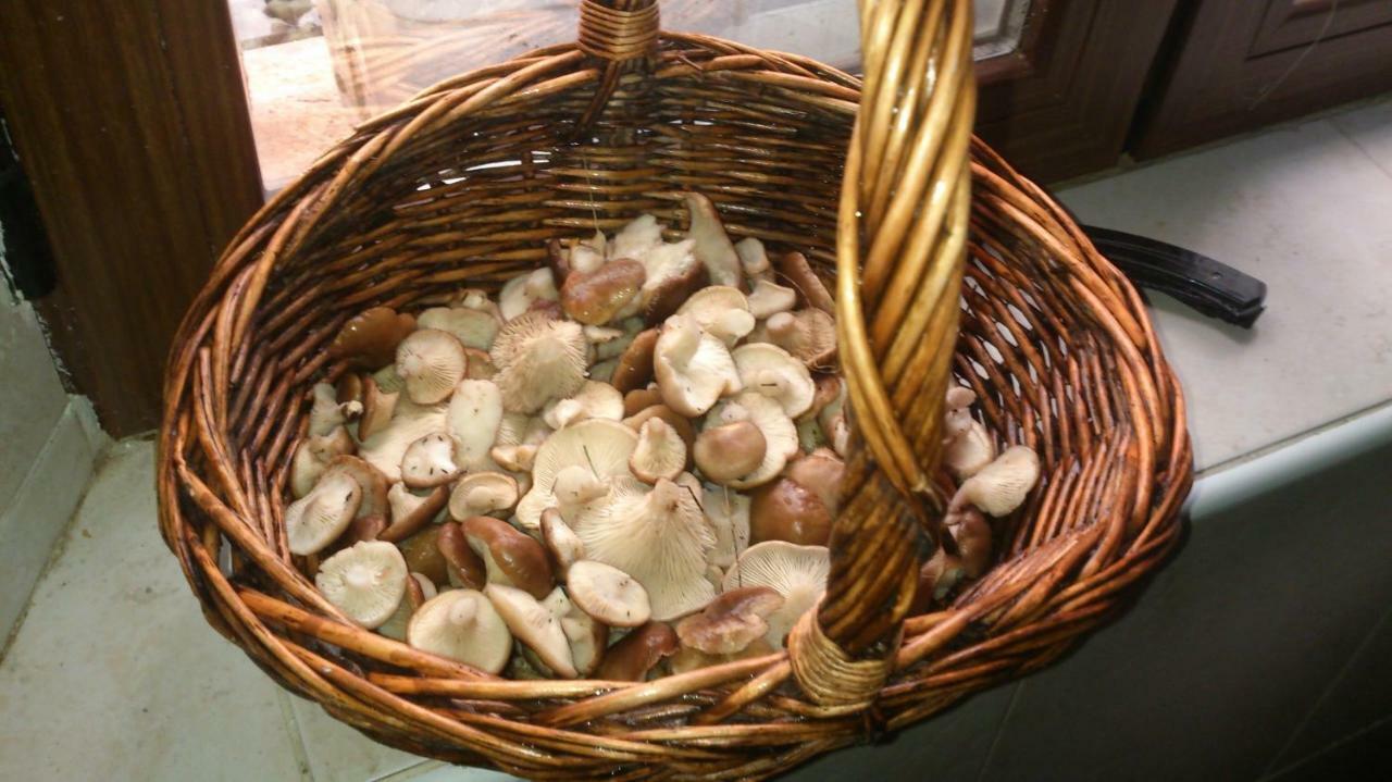 Hotel Rural 格拉多德尔皮克 外观 照片